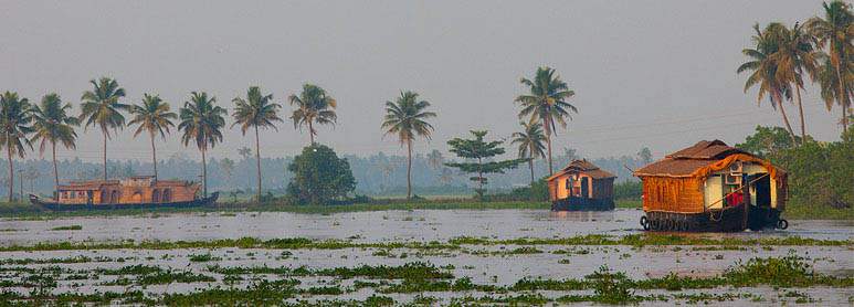 Kumarakom Kerala honeymoon places